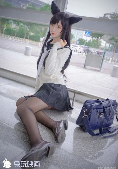 a极片