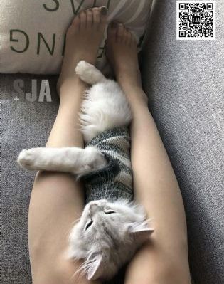 朋友的妻