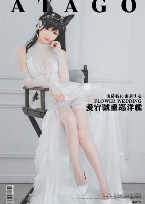 天下正道电视剧免费观看全集