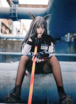 请将我驯服